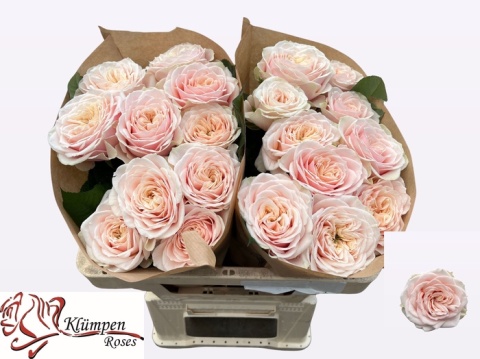 R GR LOVE FOUNTAIN 40cm - D