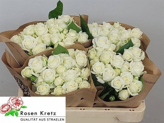 R TR WHITE BUBBLES 40cm - D