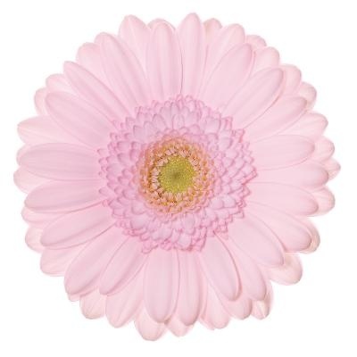 GE MI BRIDAL KIMSEY 50cm - D