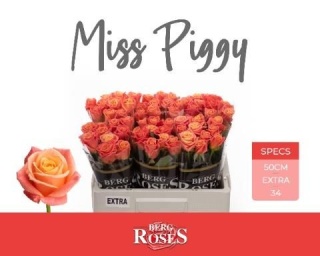 R GR MISS PIGGY+ 50cm - D
