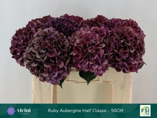 HYDR M MAG RUBY 50cm/H18 - D