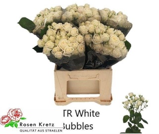 R TR WHITE BUBBLES 40cm - D