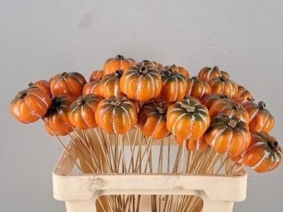 Stick Pumpkin Yellow/Green 50cm - D