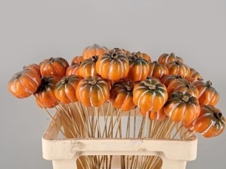 Stick Pumpkin Yellow/Green 50cm - D