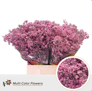 Wax Rose H% 70cm - PROMO