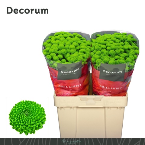 CHR S PEPTALK 55cm/1500G (Big Pack)!! - D
