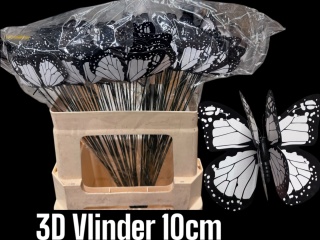 HUIS EN TUI Butterfly (bialy) H% - D