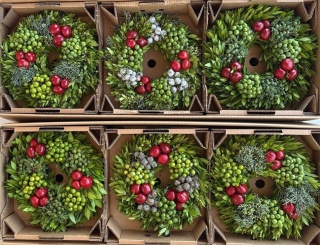 Sierfruit Krans 30cm (RED/GREEN) H% - D