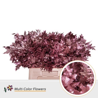Quercus Eik Fijn Rose Goud 60cm - D