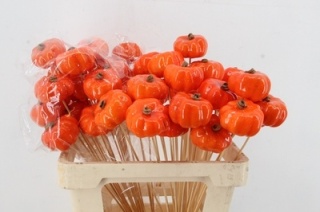 Stick Pumpkin 6cm Light Orange 50cm - D
