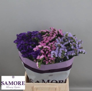 LIM S GEM 45cm - D